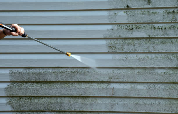 Best Driveway Cleaning and Restoration in Inkerman, PA