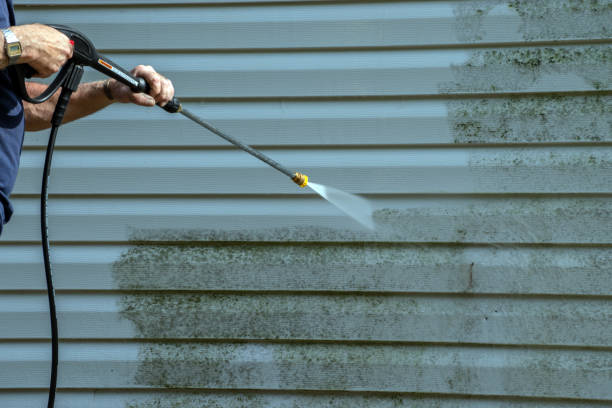 Best Roof Cleaning and Mildew Removal in Inkerman, PA